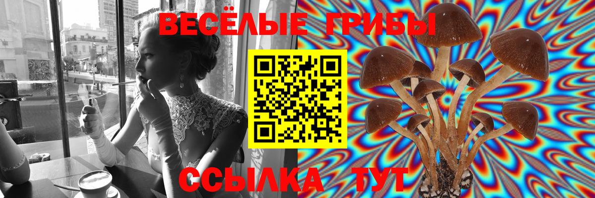 купить   Псилоцибиновые грибы мухоморы  Галлюциногенные грибы Psilocybine cubensis  Вход с VPN  Ейск 